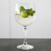Wheel&Barrow Home GIN TONIC America's 20 745ml Stemware