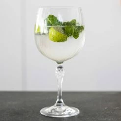 Wheel&Barrow Home GIN TONIC America's 20 745ml Stemware